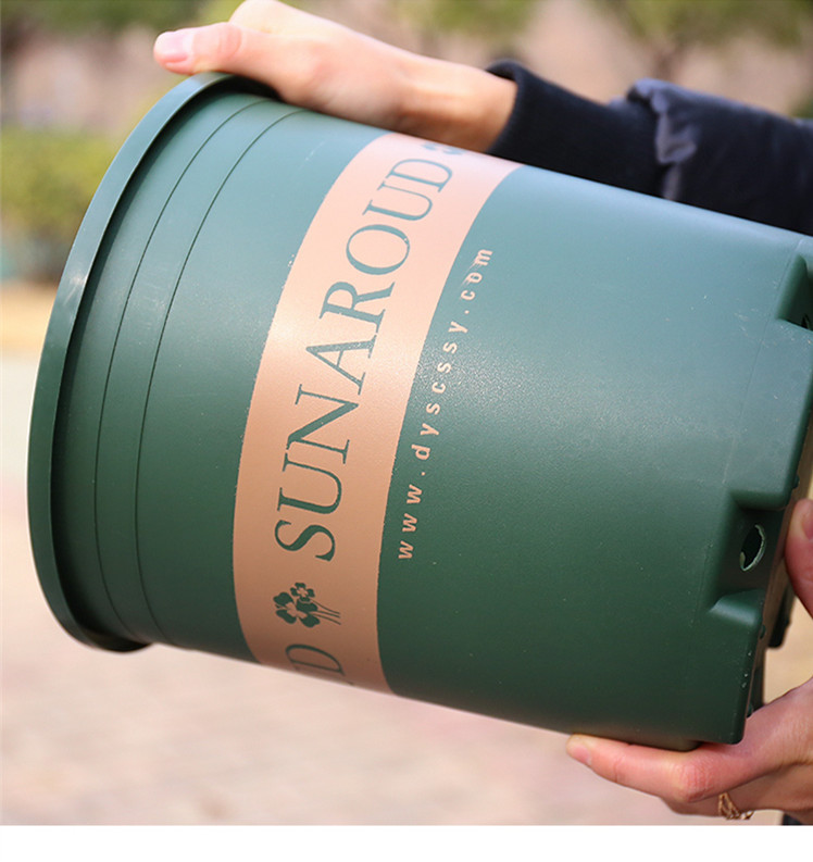 Gallon Basin Creative Green Plants Root-Controlling Basin Balcony Planting Flowers and Vegetables Scindapsus Aureus Bonsai Chinese Rose Plastic Flowerpot Wholesale
