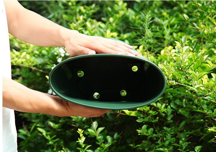 Gallon Basin Creative Green Plants Root-Controlling Basin Balcony Planting Flowers and Vegetables Scindapsus Aureus Bonsai Chinese Rose Plastic Flowerpot Wholesale