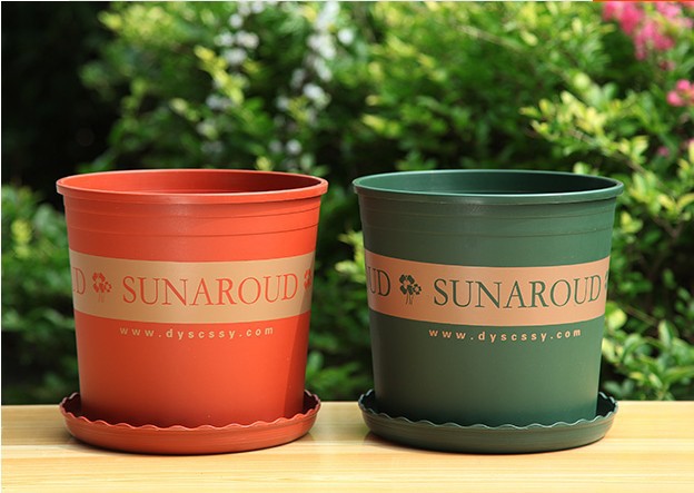 Gallon Basin Creative Green Plants Root-Controlling Basin Balcony Planting Flowers and Vegetables Scindapsus Aureus Bonsai Chinese Rose Plastic Flowerpot Wholesale