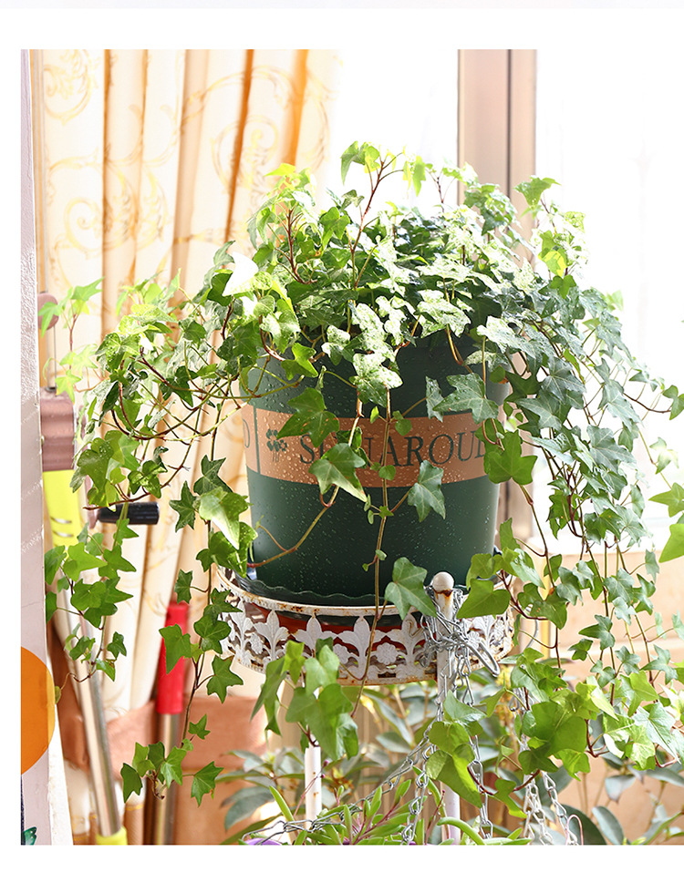 Gallon Basin Creative Green Plants Root-Controlling Basin Balcony Planting Flowers and Vegetables Scindapsus Aureus Bonsai Chinese Rose Plastic Flowerpot Wholesale