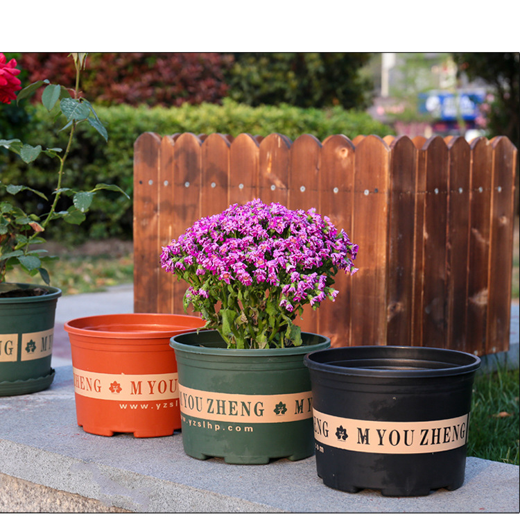 Gallon Basin Creative Green Plants Root-Controlling Basin Balcony Planting Flowers and Vegetables Scindapsus Aureus Bonsai Chinese Rose Plastic Flowerpot Wholesale