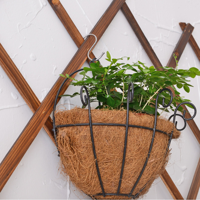 Iron Semi-Wall Hanging Coconut Brown Flower Basket Double Hook Flower Blue Green Radish Hanging Basket Flower Pot