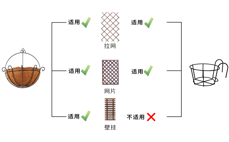 Iron Semi-Wall Hanging Coconut Brown Flower Basket Double Hook Flower Blue Green Radish Hanging Basket Flower Pot