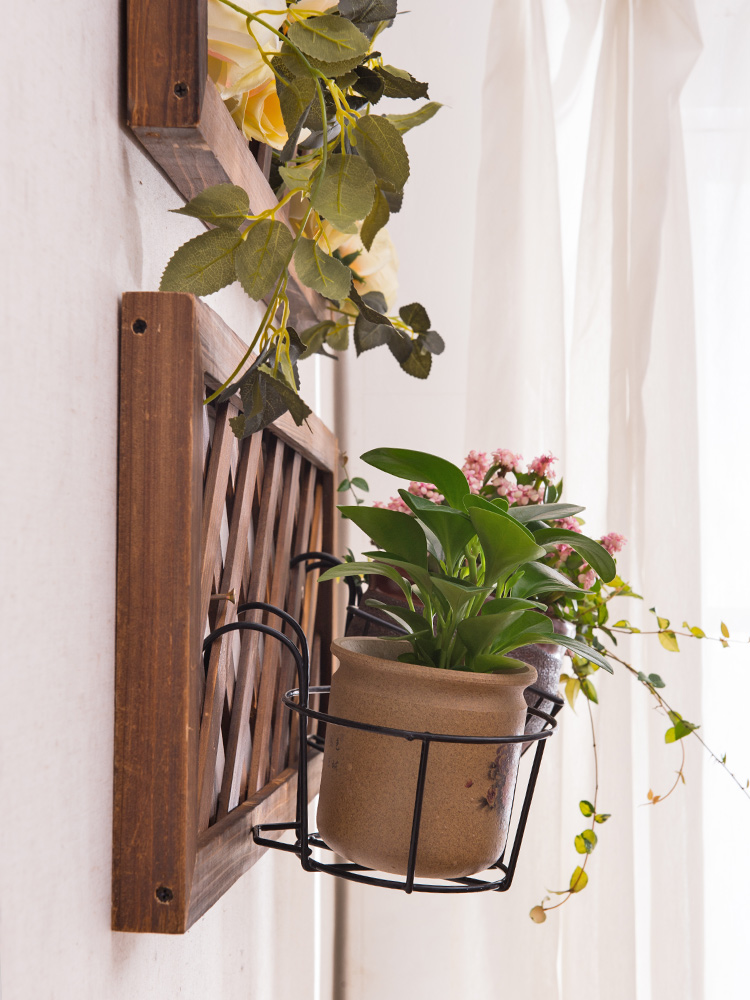 Iron Semi-Wall Hanging Coconut Brown Flower Basket Double Hook Flower Blue Green Radish Hanging Basket Flower Pot