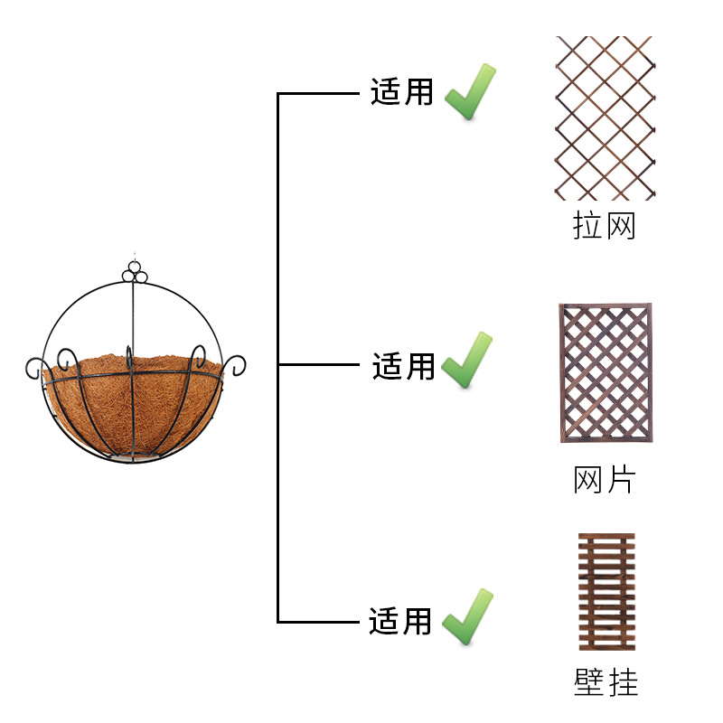 Iron Semi-Wall Hanging Coconut Brown Flower Basket Double Hook Flower Blue Green Radish Hanging Basket Flower Pot
