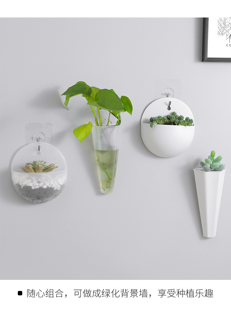 2660 Hydroponic Wall Flower Hanging Basin Wall-Mounted Hanging Vase Lazy Plastic Wall Hanging Wall Green Radish Flower Hanging Basin