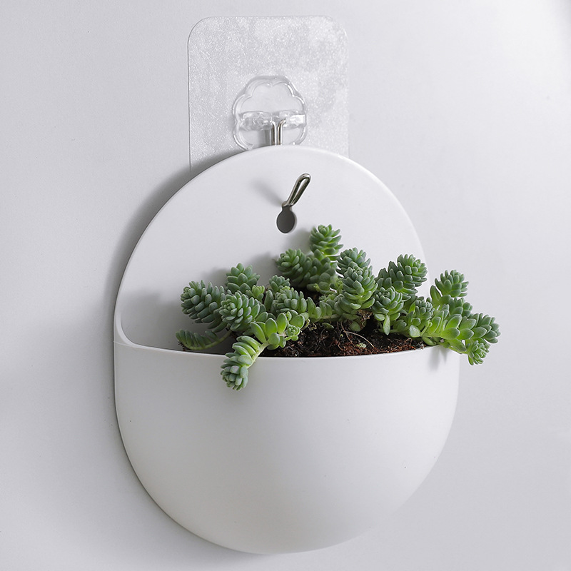 2660 Hydroponic Wall Flower Hanging Basin Wall-Mounted Hanging Vase Lazy Plastic Wall Hanging Wall Green Radish Flower Hanging Basin