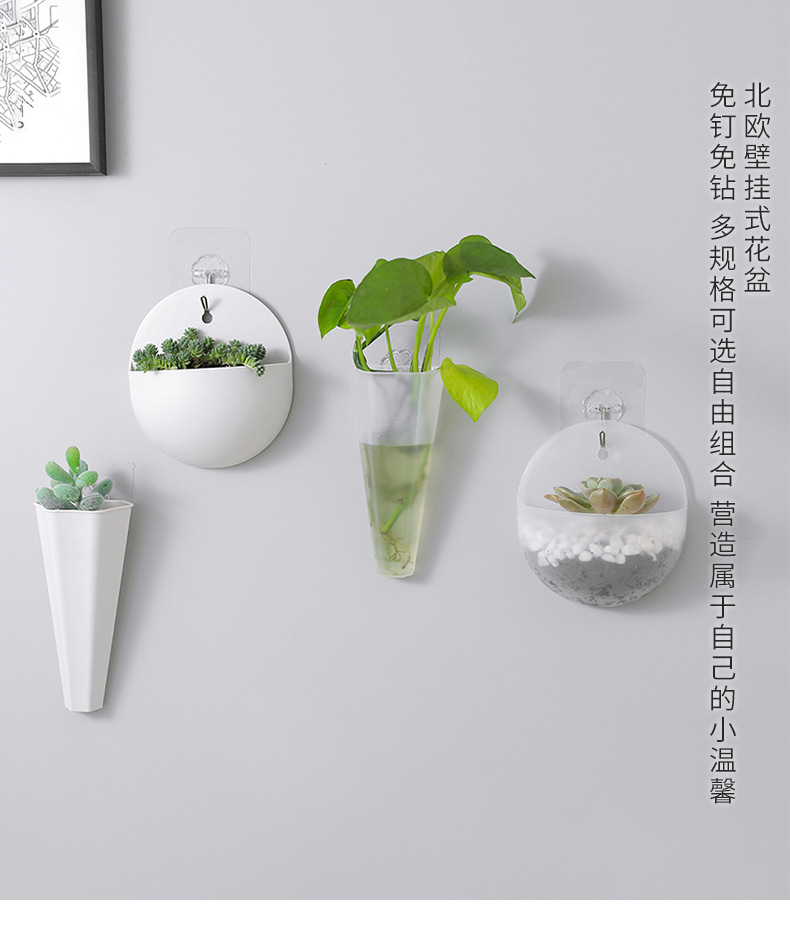 2660 Hydroponic Wall Flower Hanging Basin Wall-Mounted Hanging Vase Lazy Plastic Wall Hanging Wall Green Radish Flower Hanging Basin
