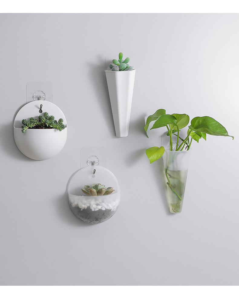 2660 Hydroponic Wall Flower Hanging Basin Wall-Mounted Hanging Vase Lazy Plastic Wall Hanging Wall Green Radish Flower Hanging Basin