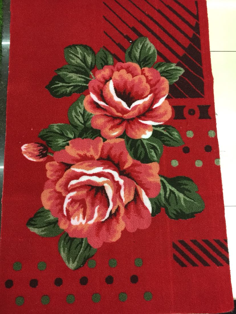 Loop Velvet Printing Door Mat Lobby Porch Non-Slip Mat Absorbent Dust Removal Door Mat 4060 Mixed Style