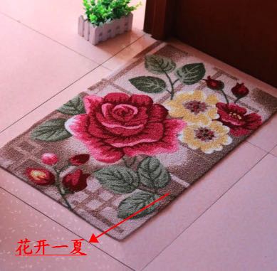 Loop Velvet Printing Door Mat Lobby Porch Non-Slip Mat Absorbent Dust Removal Door Mat 4060 Mixed Style Loop Velvet Printing Door Mat Lobby Porch Non-Slip Mat Absorbent Dust Removal Door Mat 4060 Mixed Style