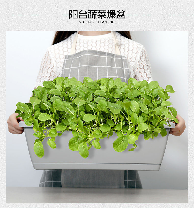 Planting Basin Horun Basin Long Flower Pot Rectangular Balcony Vegetable Planting Artifact Indoor Extra Large Planting Trough Railing Plastic