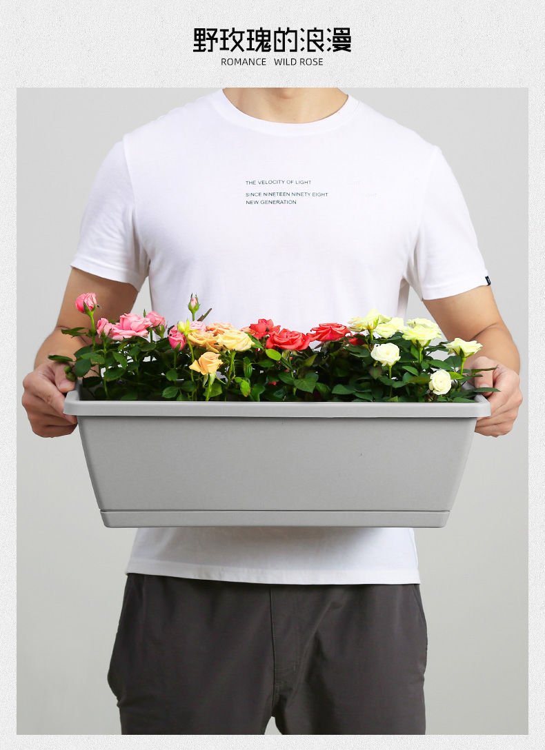 Planting Basin Horun Basin Long Flower Pot Rectangular Balcony Vegetable Planting Artifact Indoor Extra Large Planting Trough Railing Plastic
