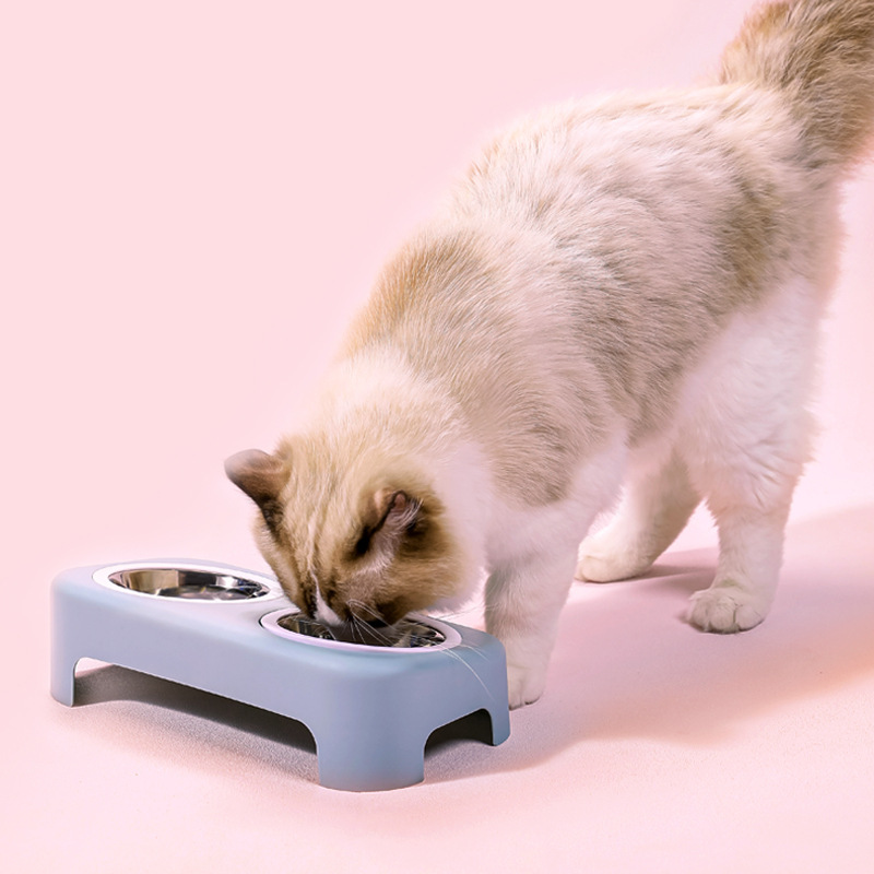 Wholesale New Stainless Steel Dog Bowl Cat Simple Pet Double Bowl Candy Color Plastic Dog Basin Tableware Pet Bowl