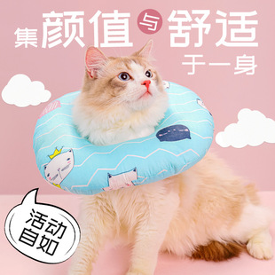Wholesale New Stainless Steel Dog Bowl Cat Simple Pet Double Bowl Candy Color Plastic Dog Basin Tableware Pet Bowl Wholesale New Stainless Steel Dog Bowl Cat Simple Pet Double Bowl Candy Color Plastic Dog Basin Tableware Pet Bowl