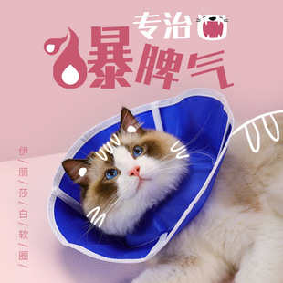 Wholesale New Stainless Steel Dog Bowl Cat Simple Pet Double Bowl Candy Color Plastic Dog Basin Tableware Pet Bowl Wholesale New Stainless Steel Dog Bowl Cat Simple Pet Double Bowl Candy Color Plastic Dog Basin Tableware Pet Bowl
