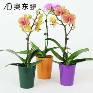 Greening Plastic Flower Pot Balcony Strawberry Planting Basin Wall Hanging Creative Combination Flower Pot Whole