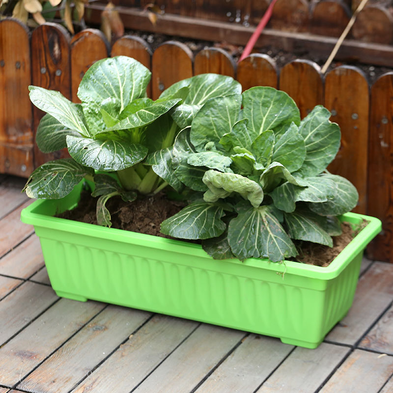 Planting Basin Boxes Balcony Family Balcony Vegetable Rectangular Plastic Strip Flowerpot Pot Pot Planting Pot Amazon