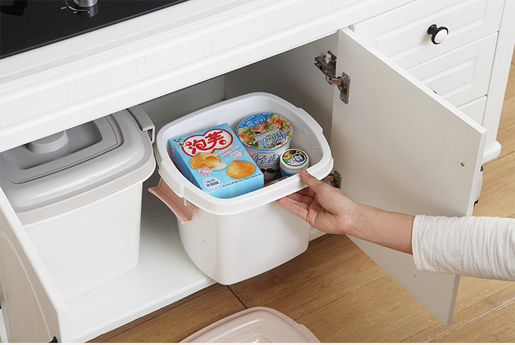 rice bucket household kitchen 20 jins 30 jins 40 jins 50 jins rice storage box with cover moistureproof storage box