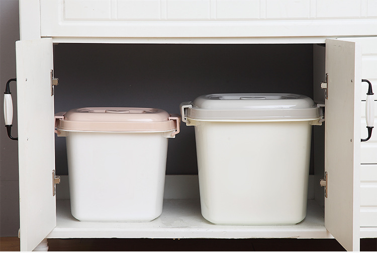 rice bucket household kitchen 20 jins 30 jins 40 jins 50 jins rice storage box with cover moistureproof storage box
