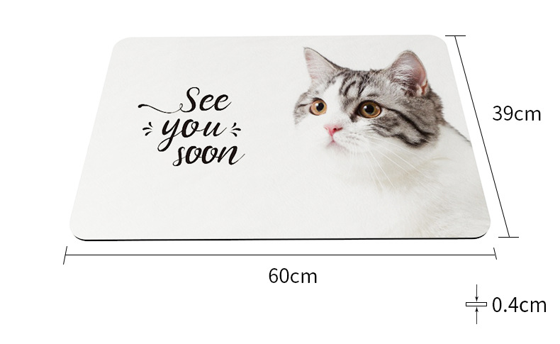 Diatom Ooze Cushion Water-Absorbing Quick-Drying Mat Bathroom Entrance Floor Mat Bathroom Toilet Diatomite Non-Slip Bathroom Mat Diatom Ooze Cushion Water-Absorbing Quick-Drying Mat Bathroom Entrance Floor Mat Bathroom Toilet Diatomite Non-Slip Bathroom Mat