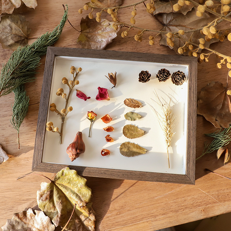 Creative Handmade Photo Frame DIY Dried Flower Nordic Specimen Photo Frame 6-Inch 10-Inch Horizontal and Vertical Solid Wood Stereo Photo Frame